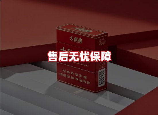 专业团队